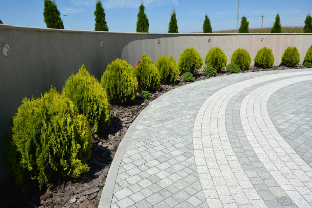 Best Driveway Repair Near Me  in Mccrory, AR